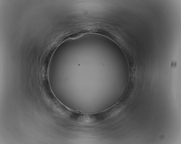 X0000110970597200906191337