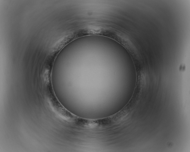 X0000110970598200906191337