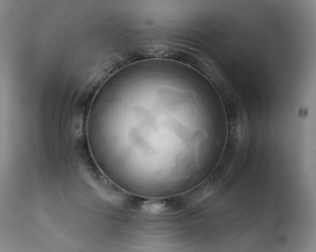 X0000110970602200906191337