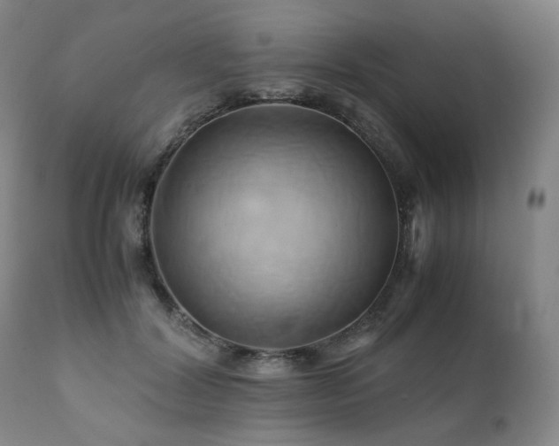 X0000110970604200906191337