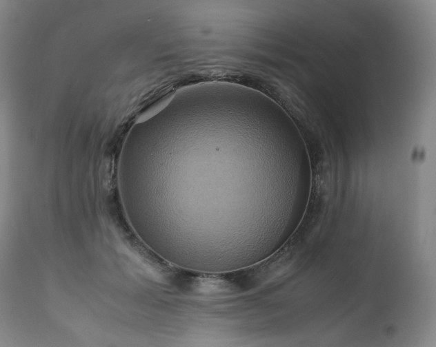 X0000110970605200906191337