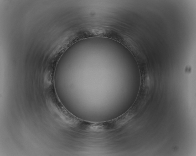 X0000110970606200906191337