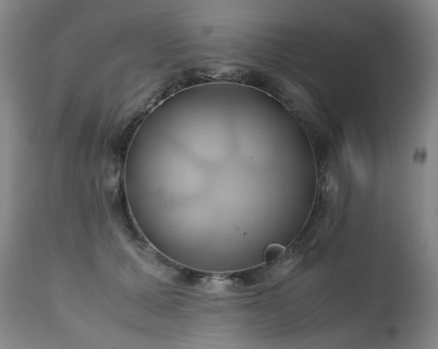 X0000110970607200906191337