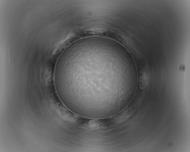 X0000110970608200906191337