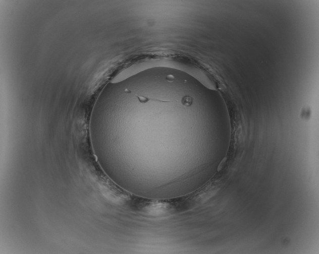 X0000110970609200906191337