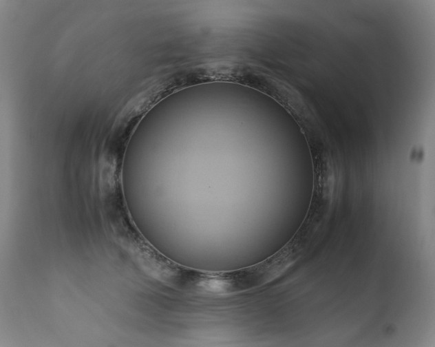 X0000110970610200906191337