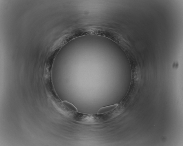 X0000110970611200906191337