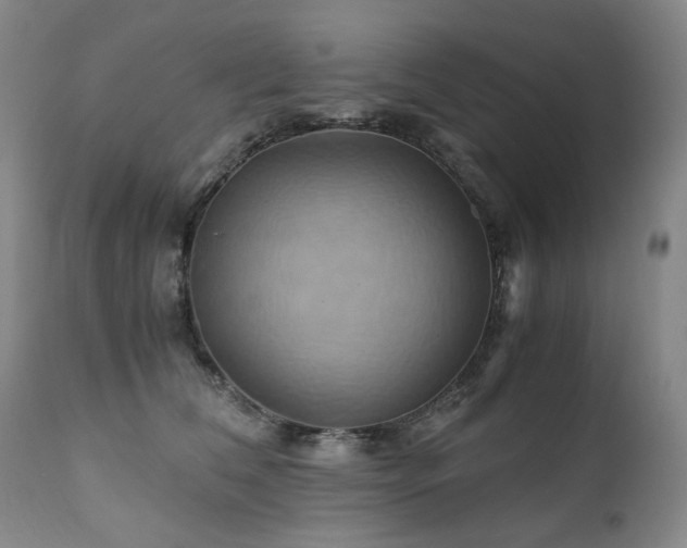 X0000110970612200906191337