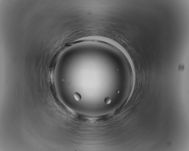 X0000110970613200906191337