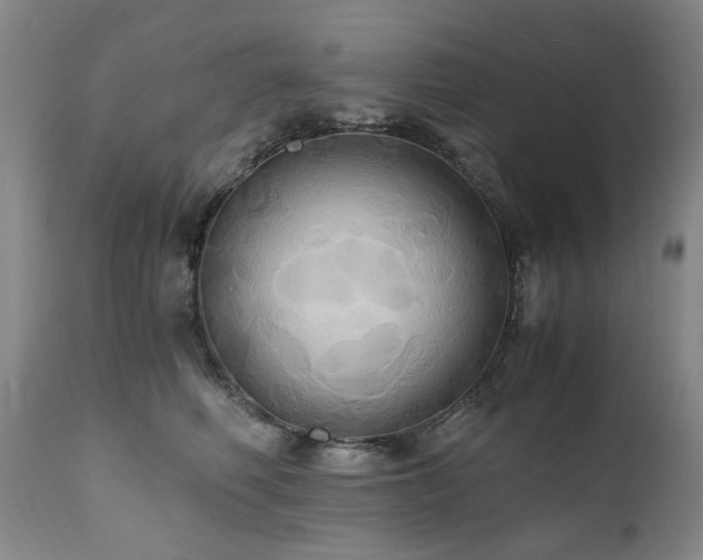 X0000110970614200906191337