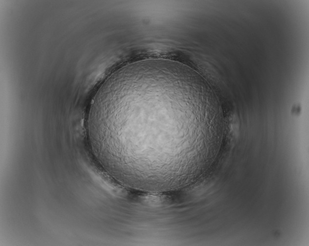 X0000110970615200906191337