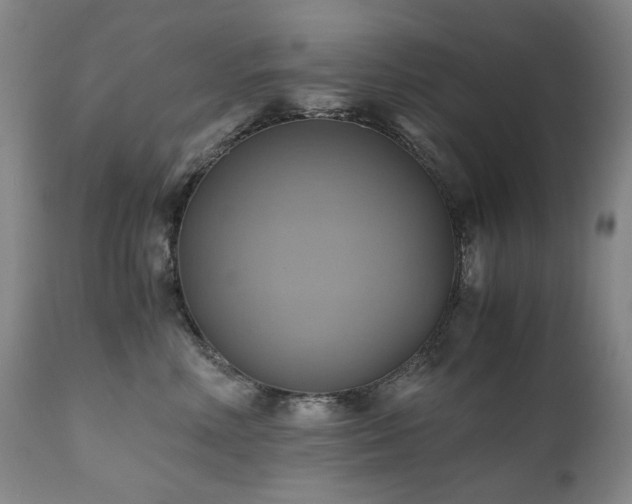 X0000110970618200906191337