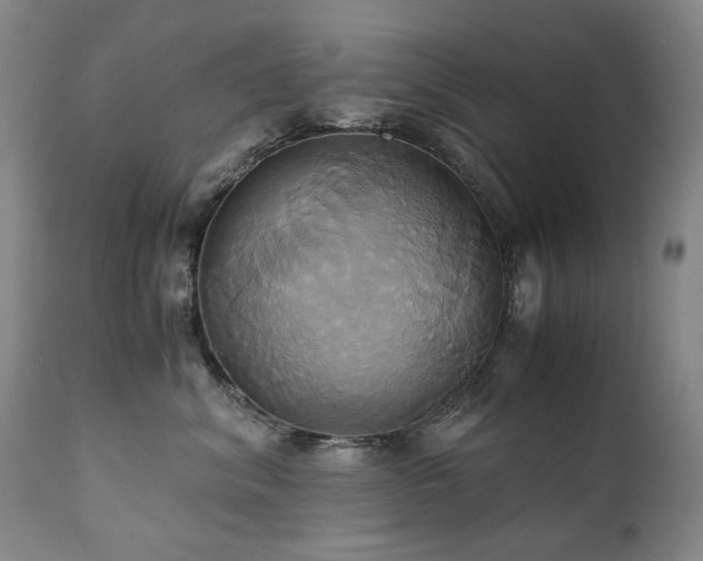 X0000110970620200906191337