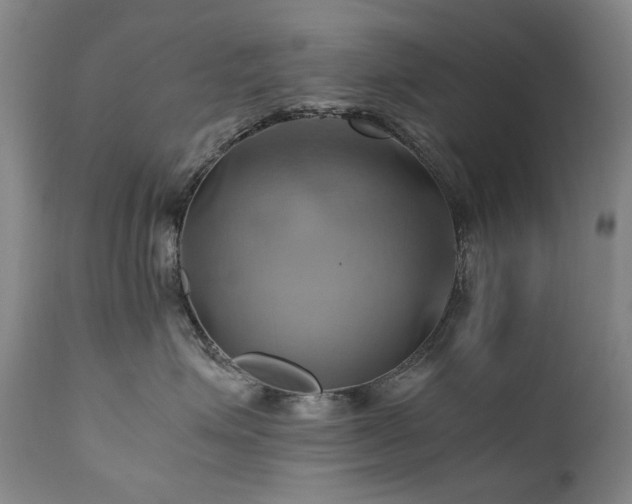 X0000110970623200906191337