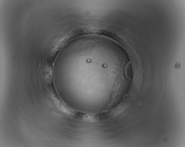 X0000110970624200906191337