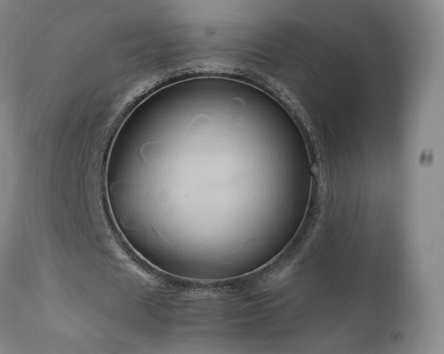 X0000110970625200906191336