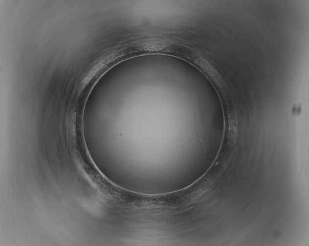 X0000110970626200906191336