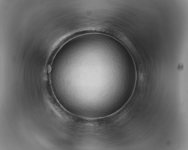 X0000110970628200906191336