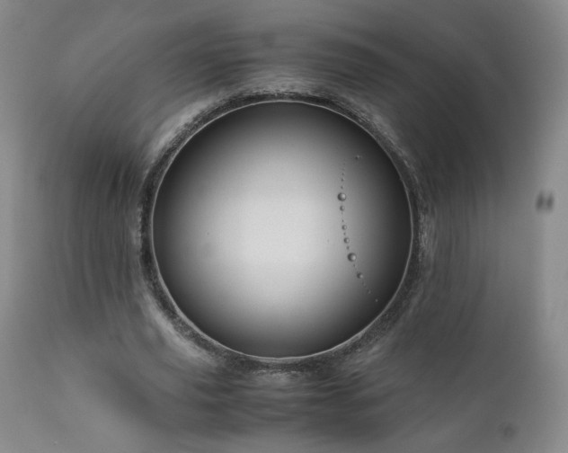 X0000110970629200906191336