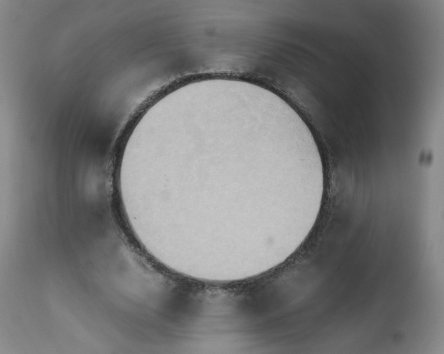 X0000110970632200906191336