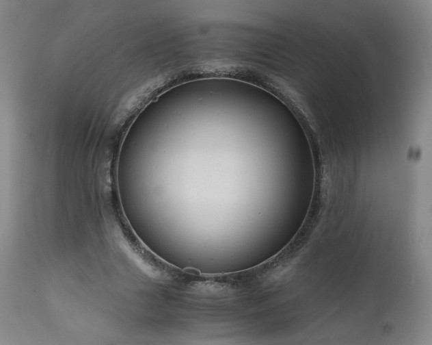 X0000110970633200906191336