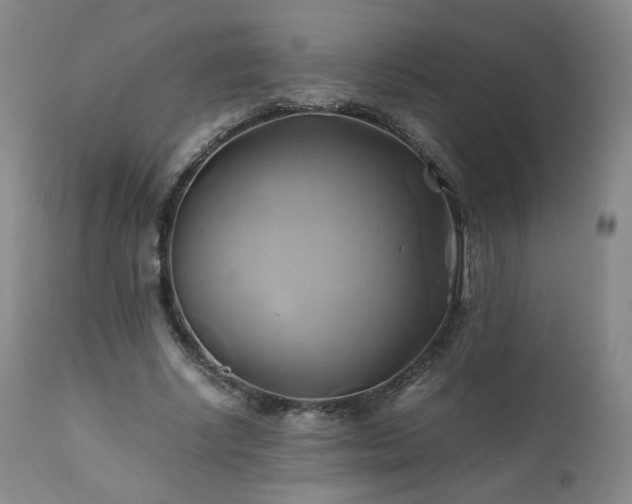 X0000110970634200906191336