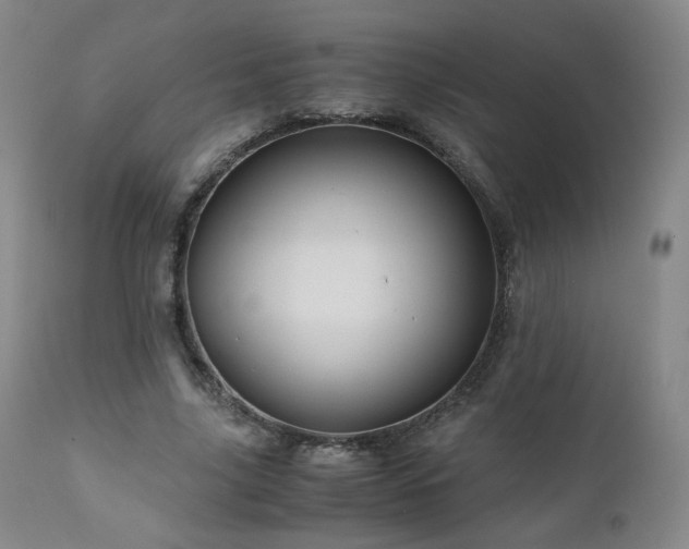 X0000110970635200906191336