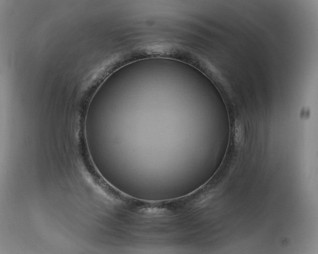 X0000110970637200906191336