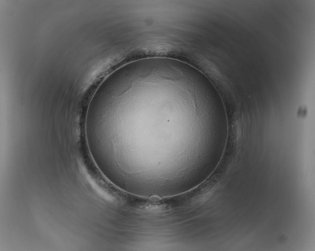 X0000110970638200906191336