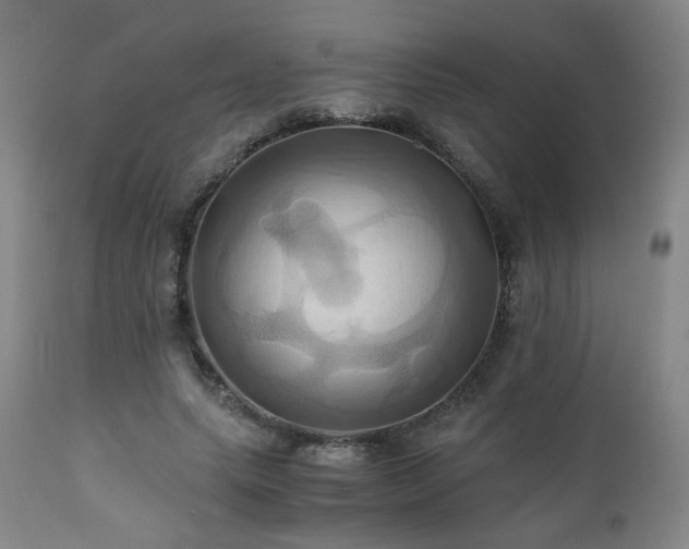 X0000110970639200906191336