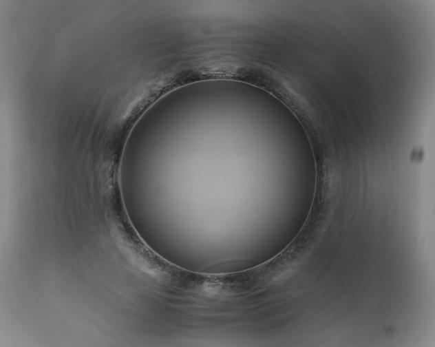 X0000110970641200906191336