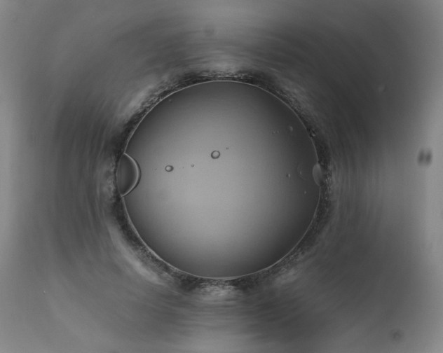 X0000110970642200906191336