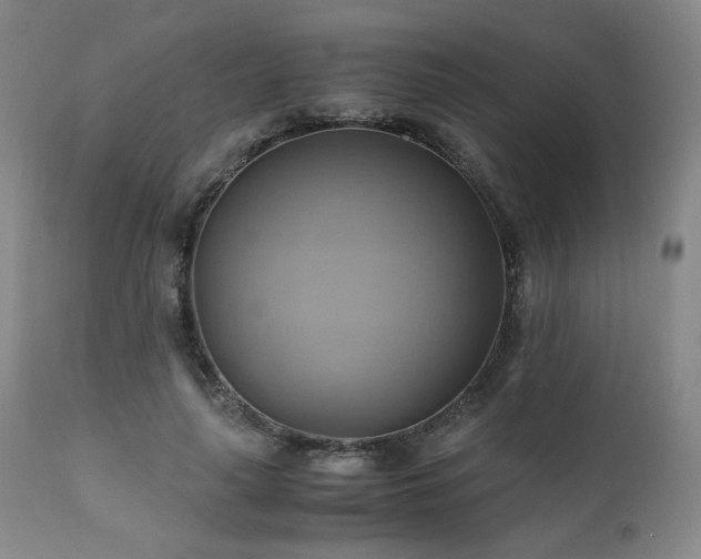 X0000110970643200906191336