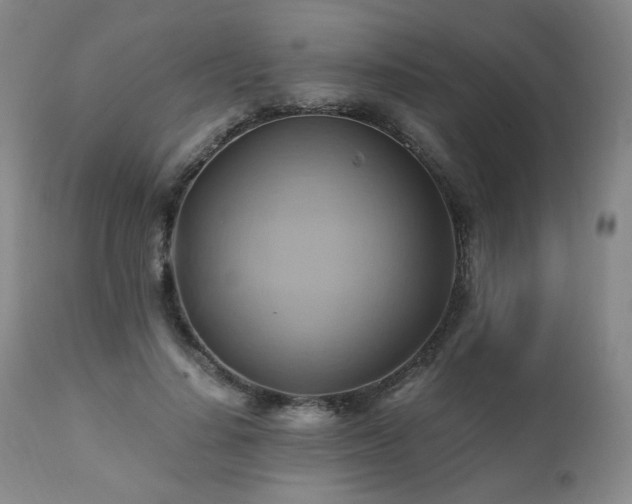 X0000110970644200906191336