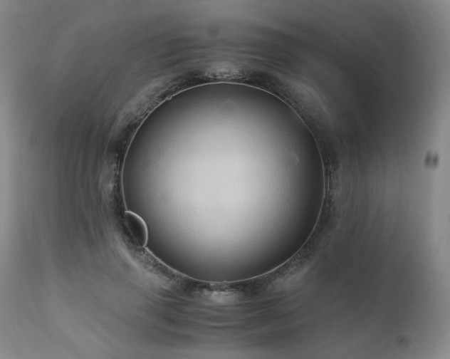 X0000110970645200906191336