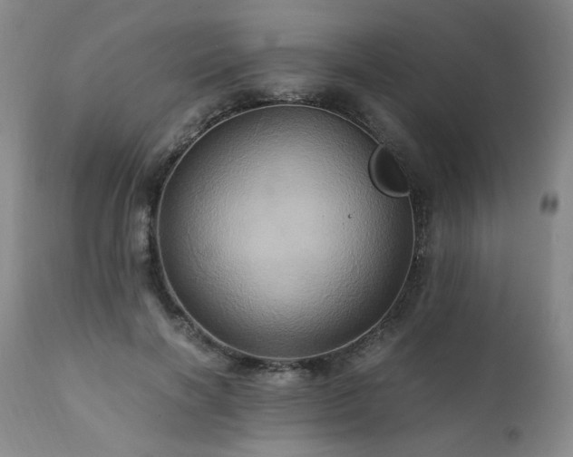 X0000110970646200906191336