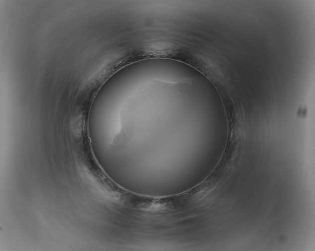 X0000110970647200906191336