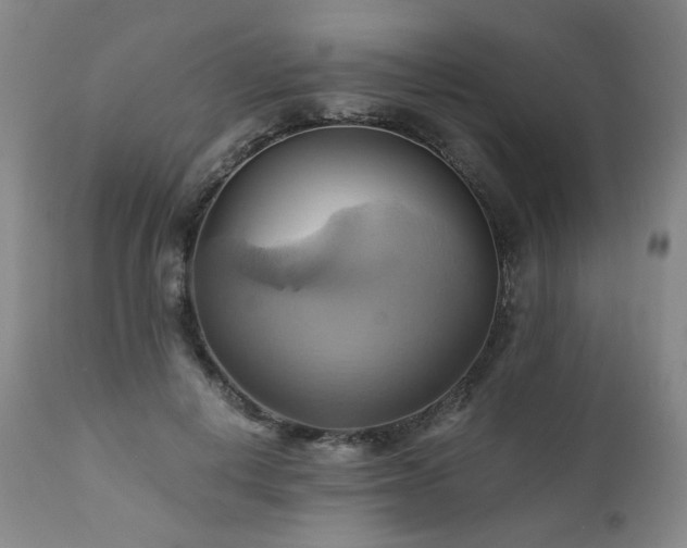 X0000110970648200906191336