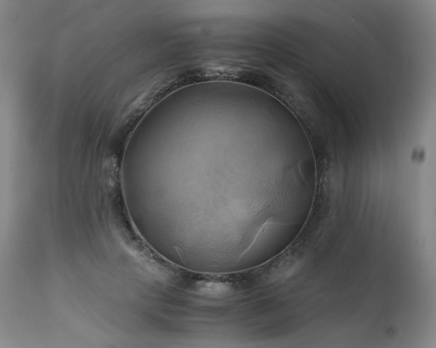 X0000110970649200906191336