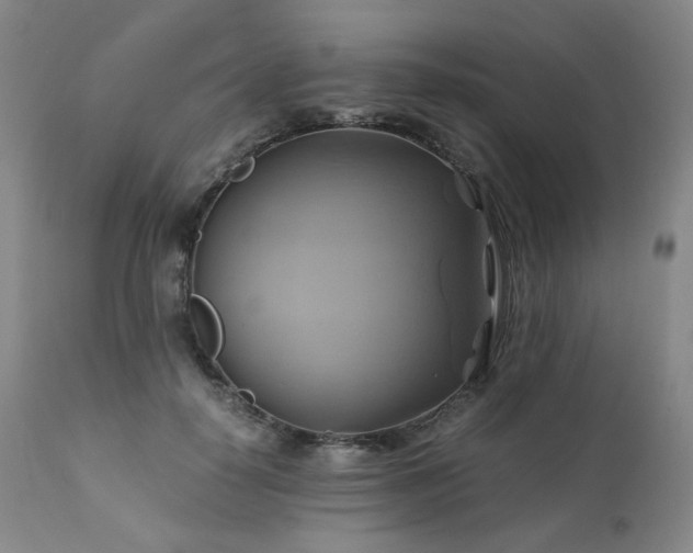 X0000110970650200906191336