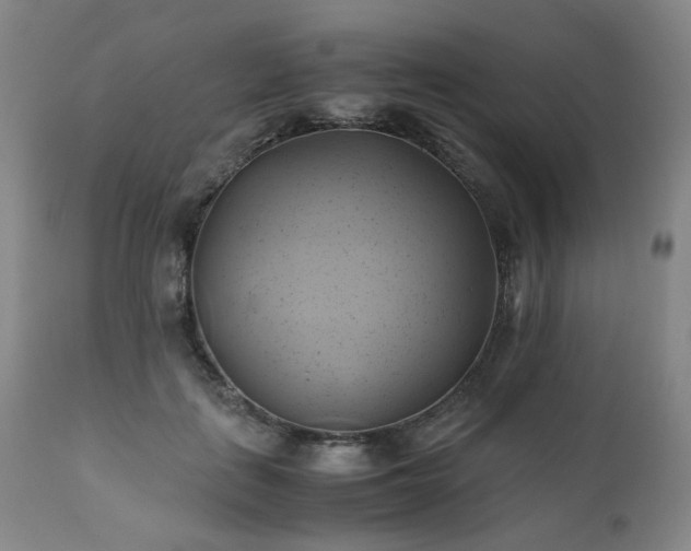 X0000110970651200906191336