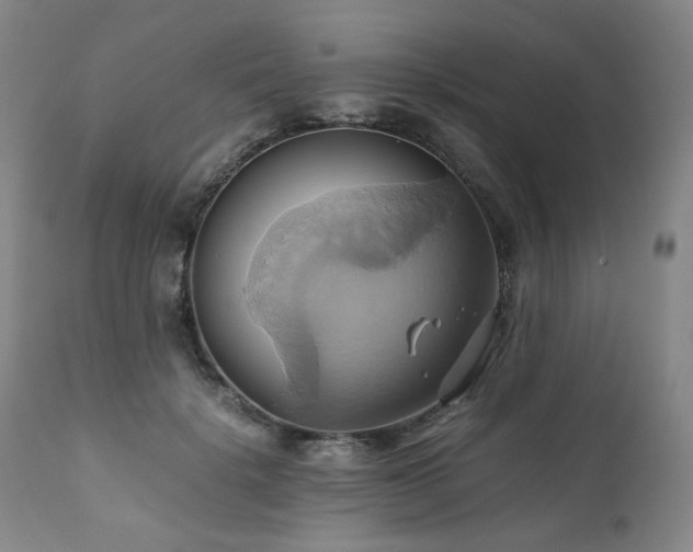 X0000110970652200906191336