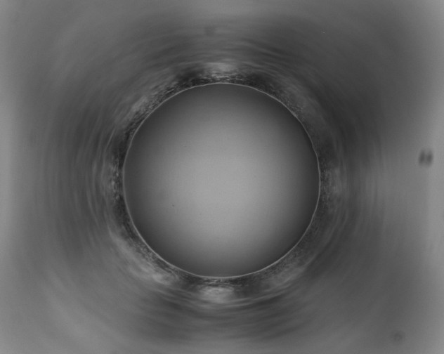 X0000110970653200906191336