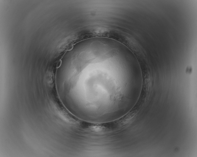 X0000110970654200906191336