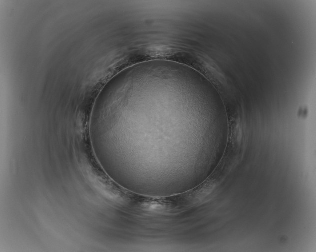 X0000110970655200906191336