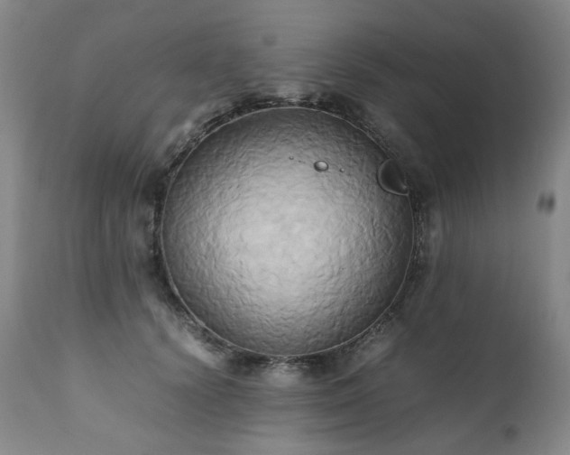 X0000110970656200906191336