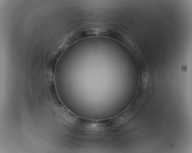 X0000110970657200906191336