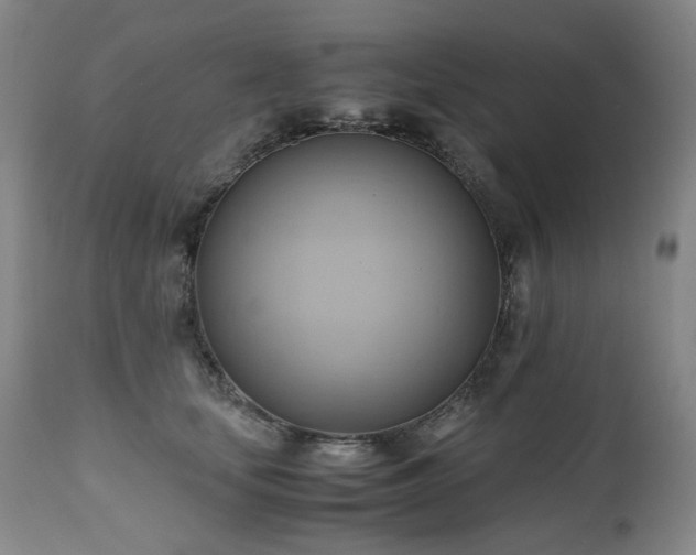 X0000110970659200906191336