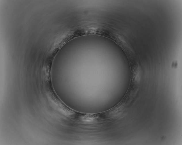 X0000110970661200906191336