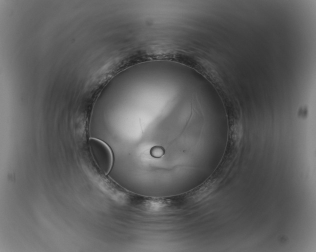 X0000110970662200906191336